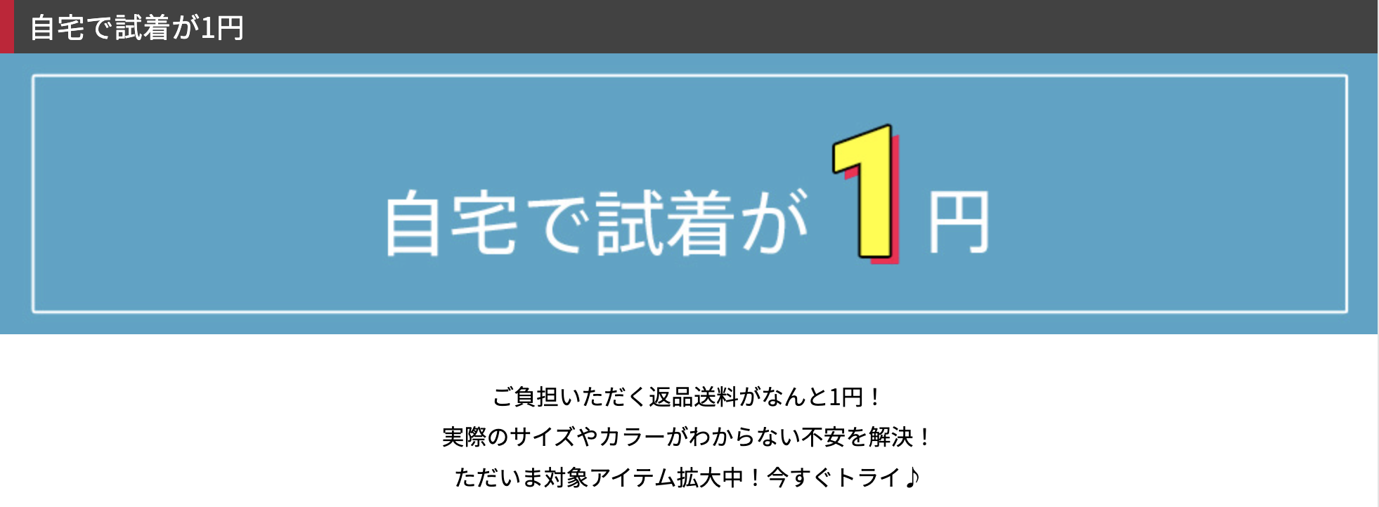 自宅で試着が１円(d fashion)