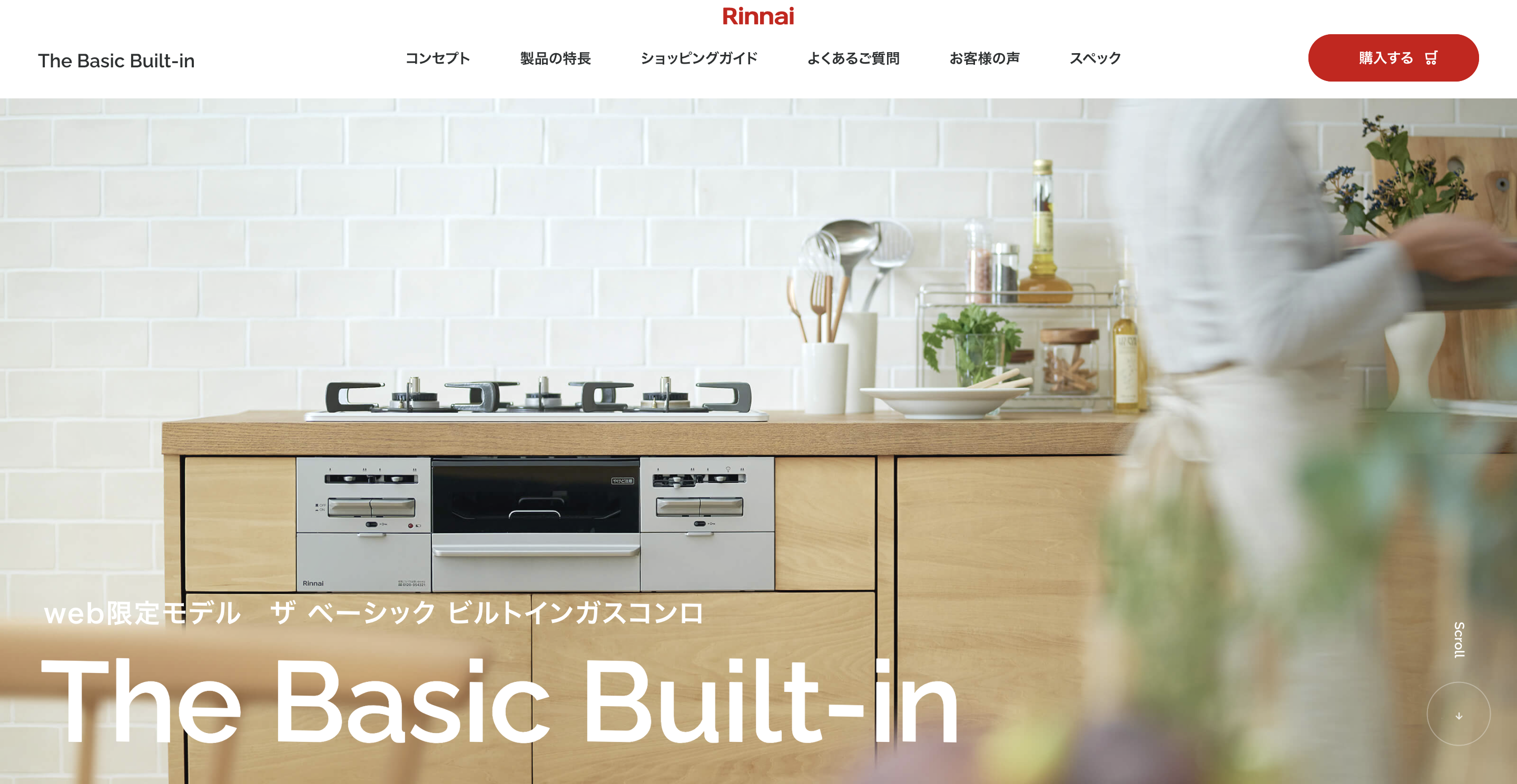 Rinnai The Basic Built-in