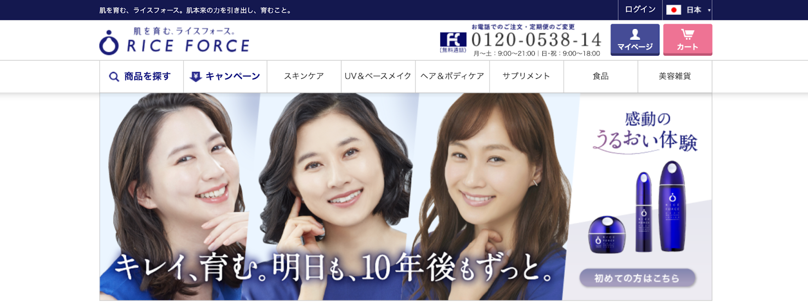 ECビジネス 成功事例 ライス・フォース